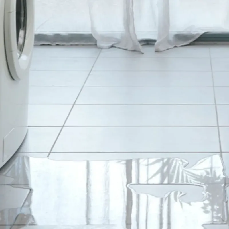 Appliance Leak Cleanup in Lynnwood, WA