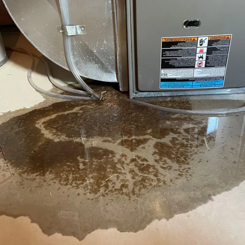 Pipe Burst and Leak Restoration in Lynnwood, WA
